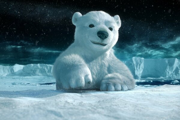 Polar polar bear cub on an ice floe