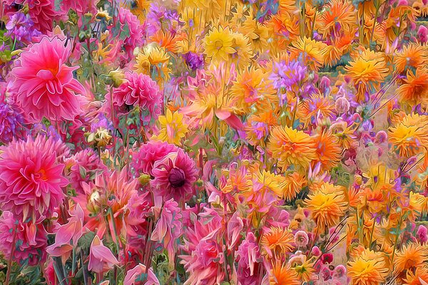 Yellow and pink flowers in the meadow