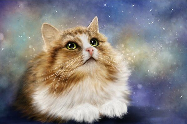 Beautiful cat on the background of the cosmic sky