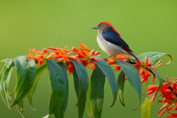 Un oiseau exotique est assis sur une branche