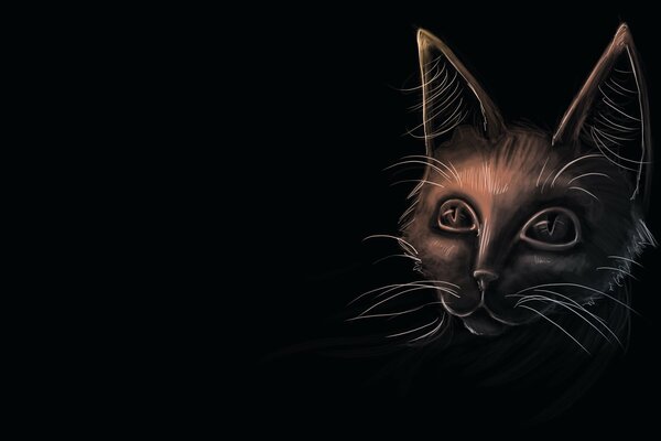 Очертания кошачьей головы в темноте