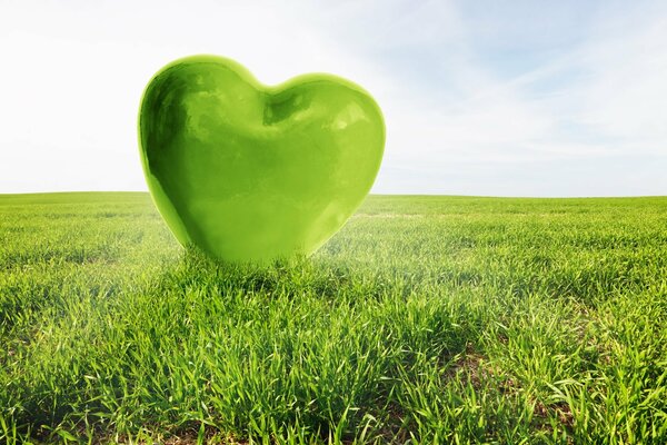 Cuore verde sull erba in estate