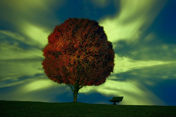 A lonely tree against the background of a magical sky