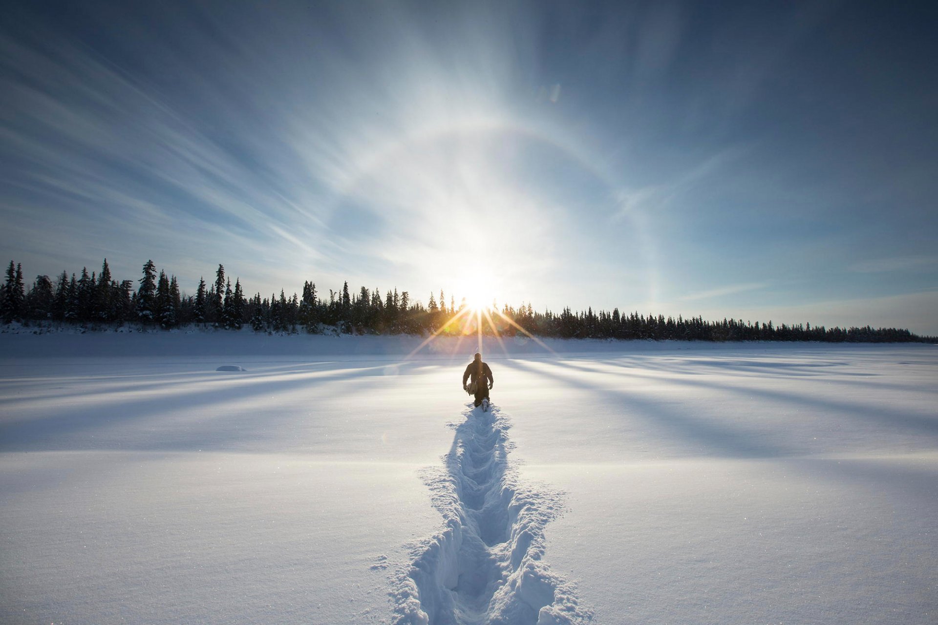 winter drifts forest path to the sun