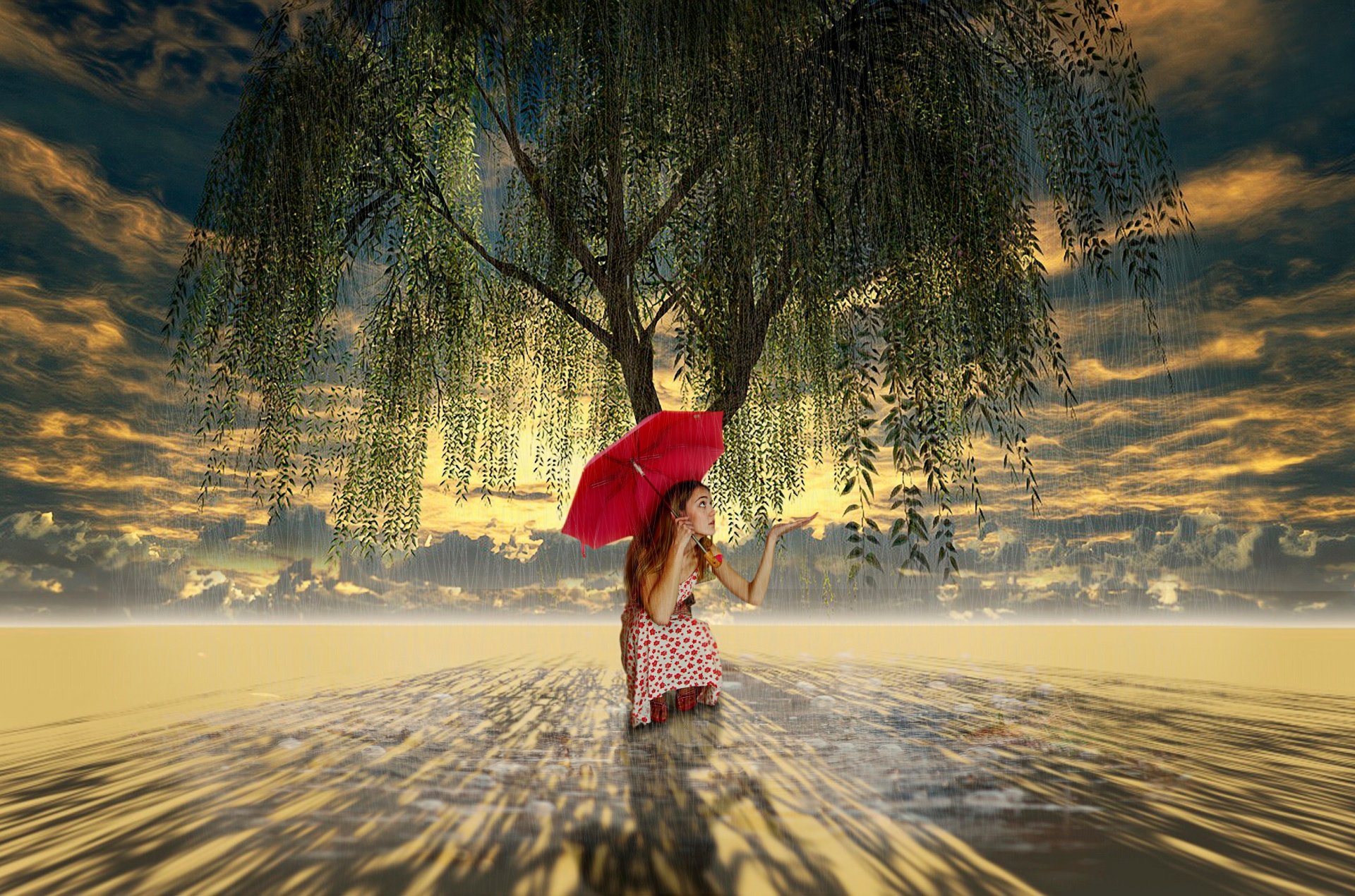 arbre saule pleureur fille parapluie art