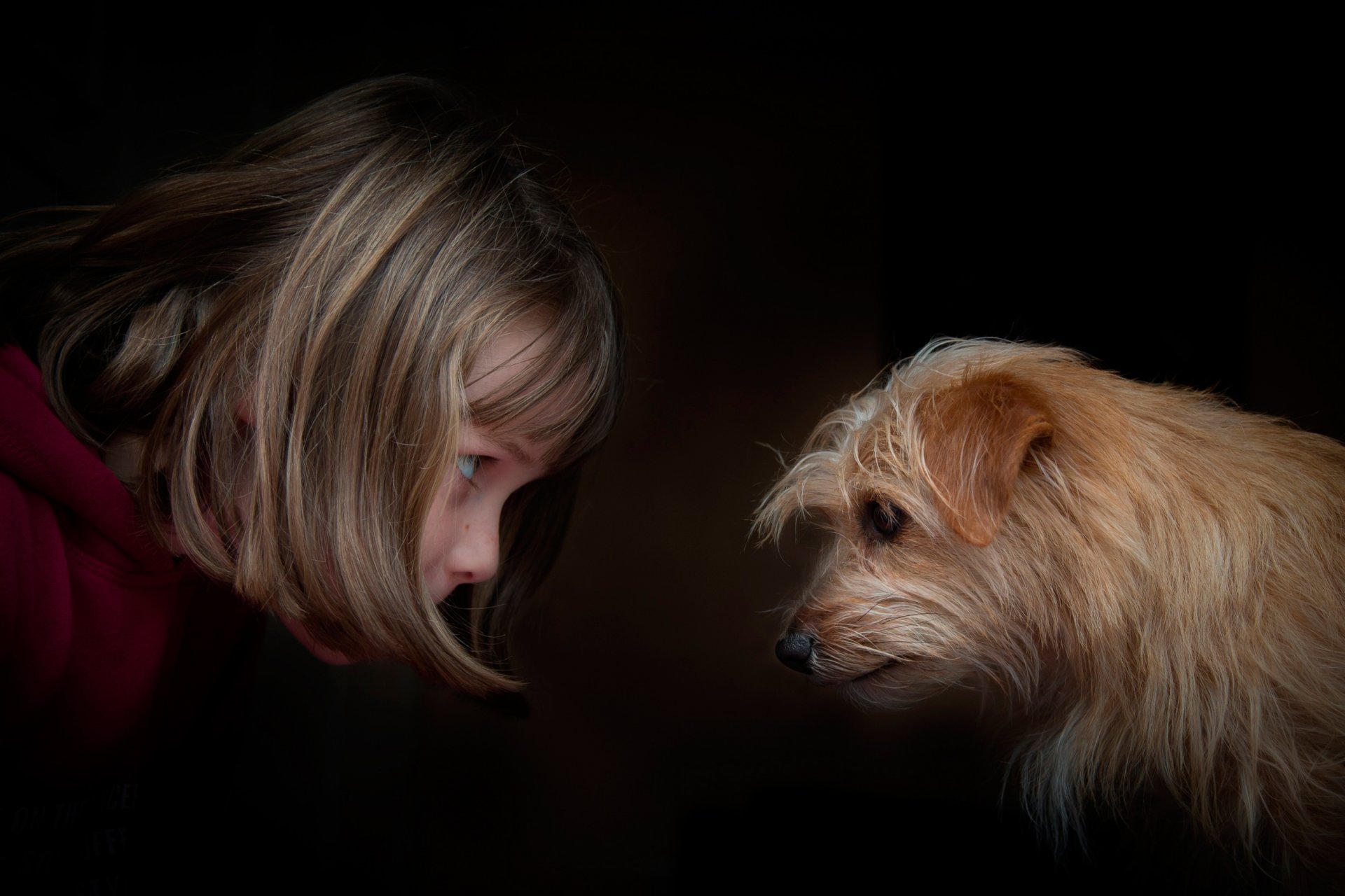 mädchen hund auge in auge