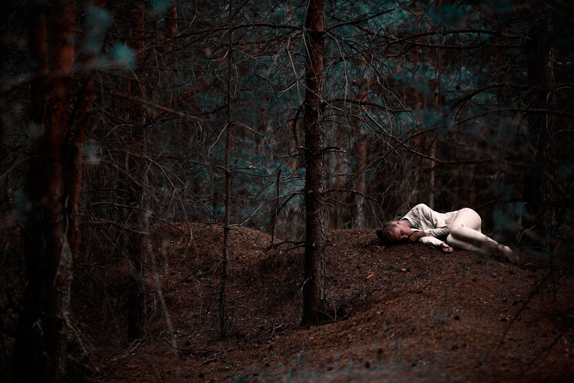 la jeune fille la forêt la solitude