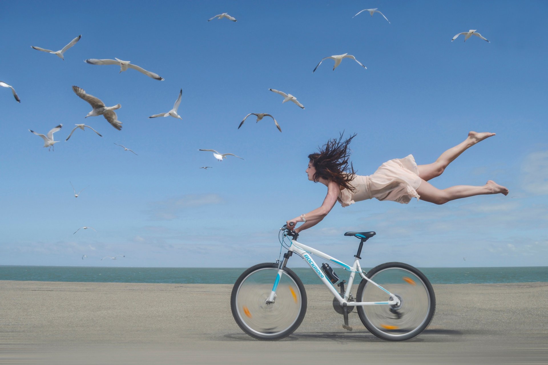 le rivage les mouettes la jeune fille le vélo la vitesse