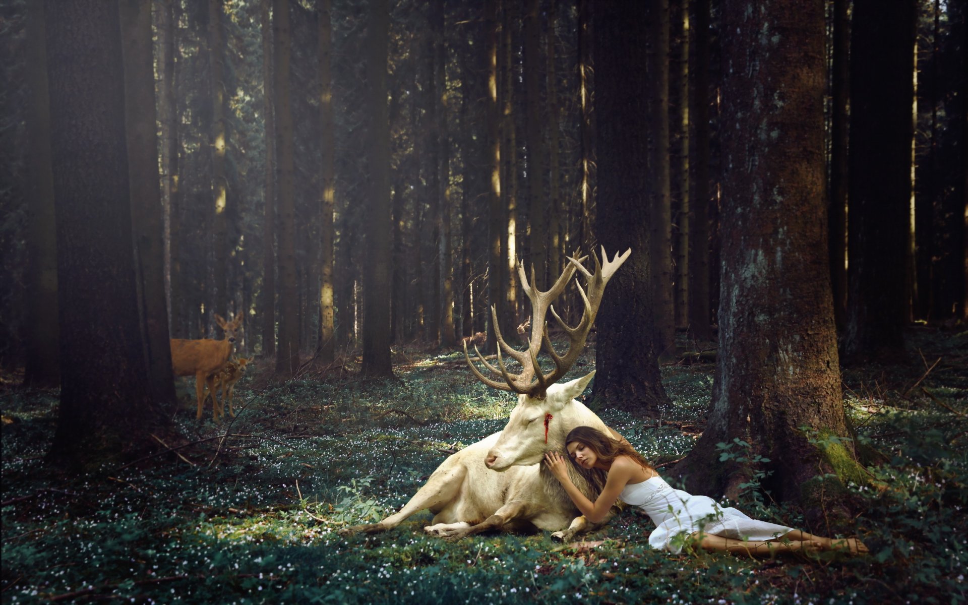 la jeune fille le cerf la forêt