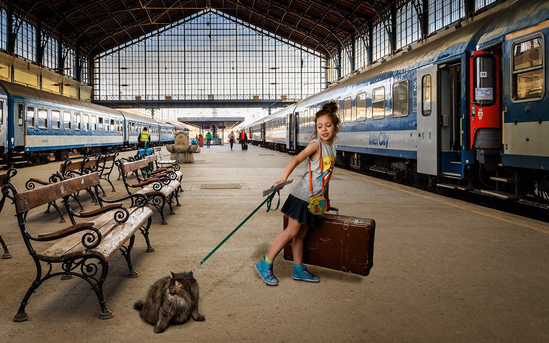 ragazza gatto treno carrozze piazzale valigia