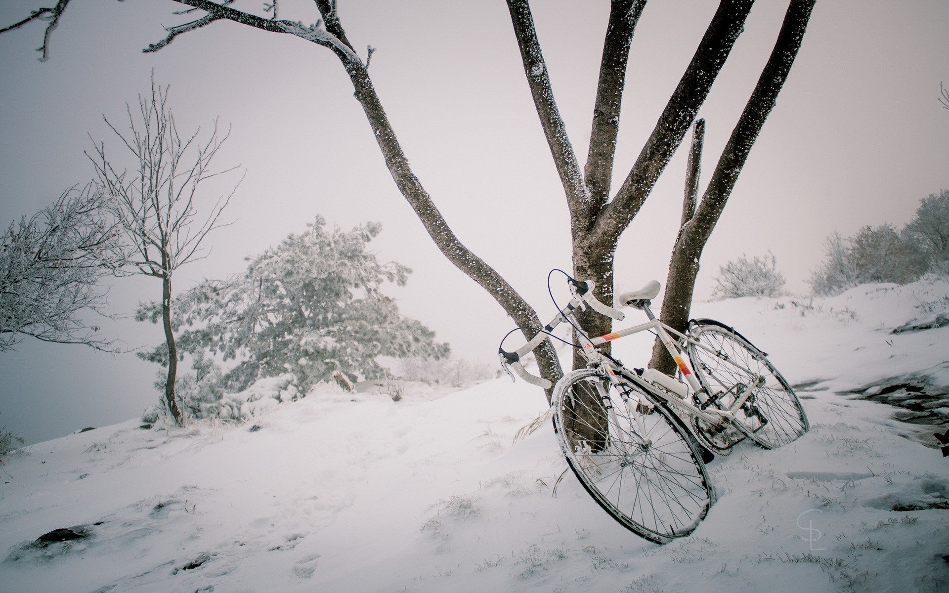 l hiver le vélo le bois la neige