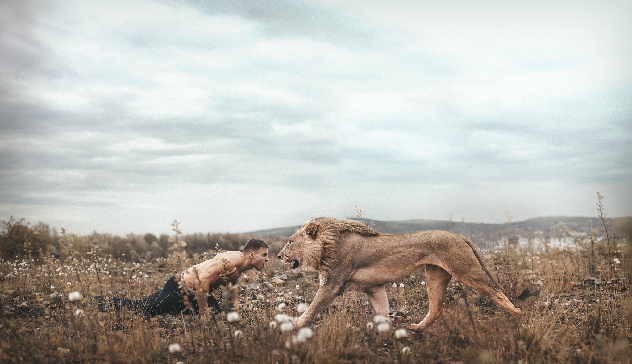 chico león confrontación arte fantasía