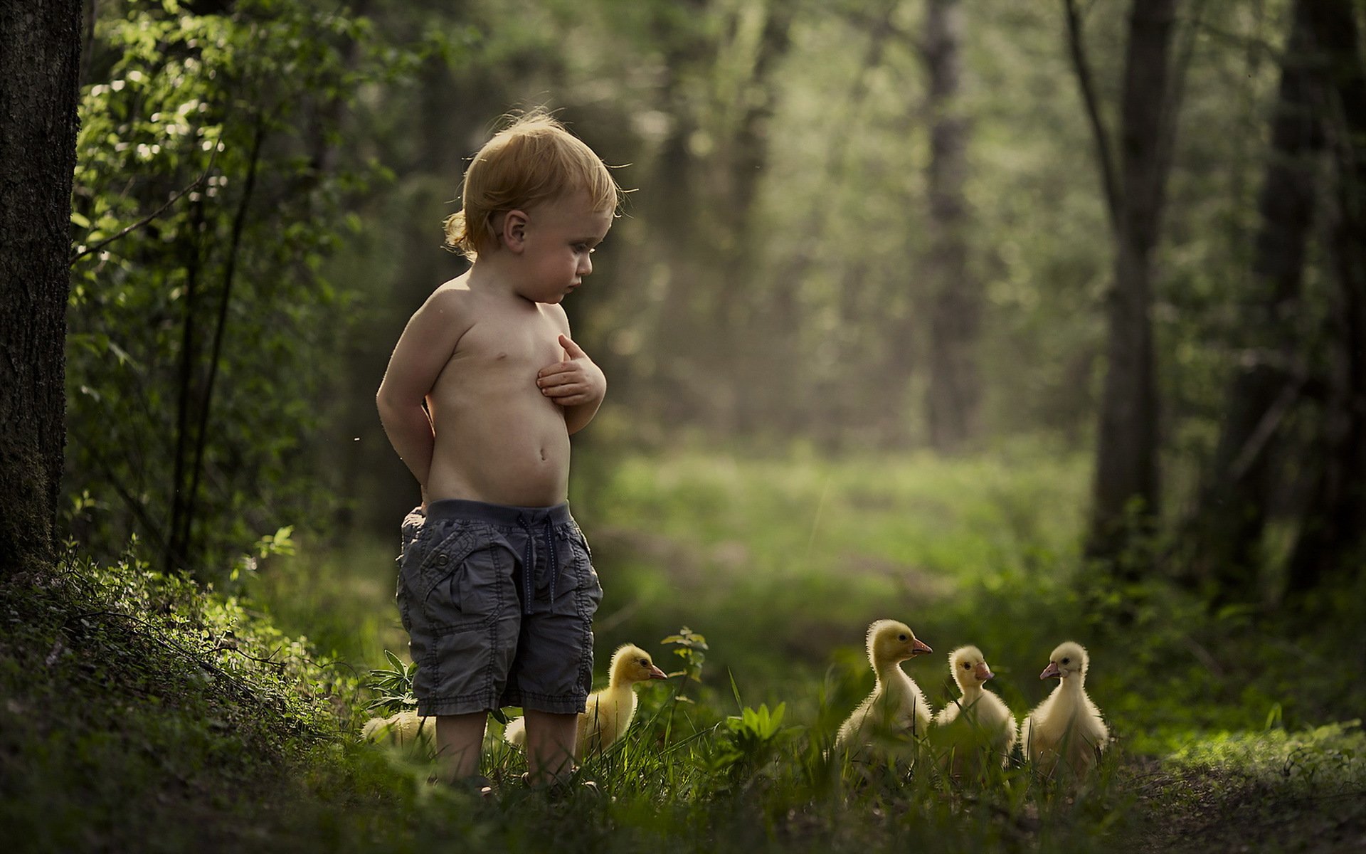 baby sommer stimmung enten