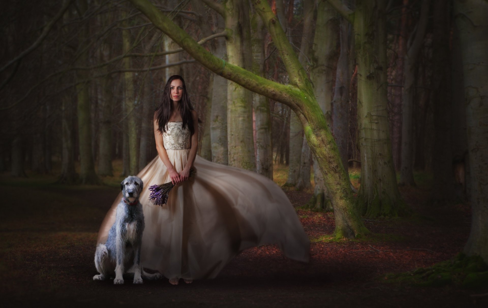 mädchen kleid blumenstrauß hund wald warten