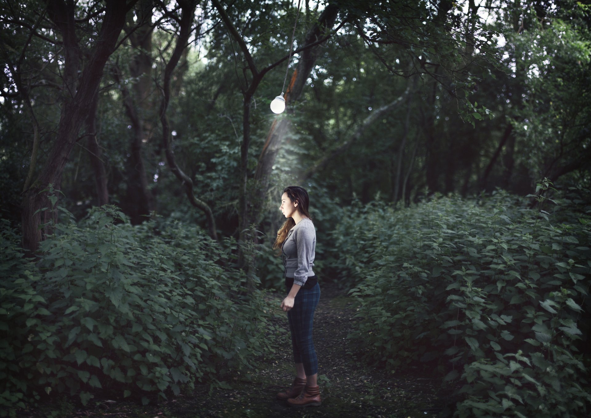 la travolgente oscurità ragazza foresta lampada