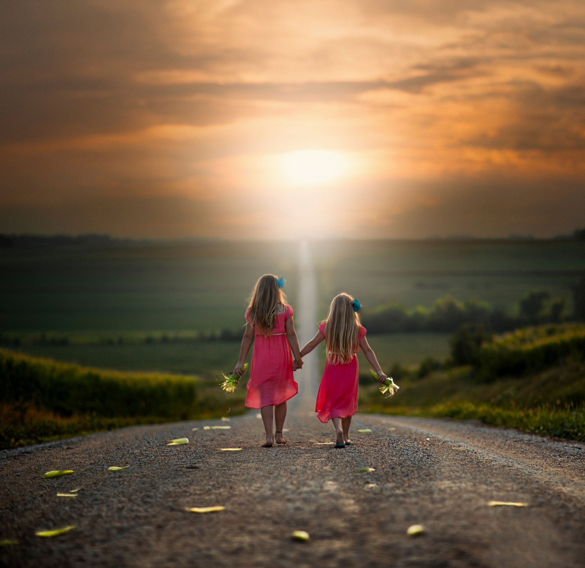 les filles la route le maïs l espace le chemin