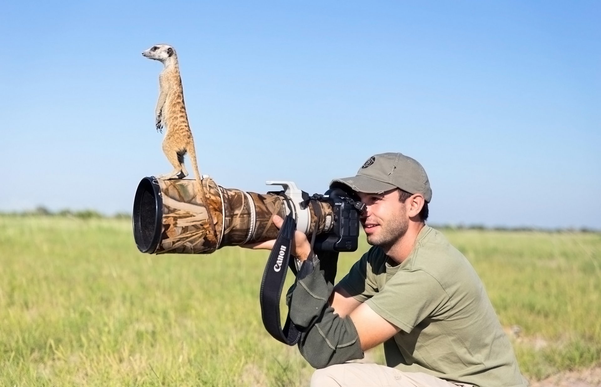 fotógrafo suricata lente