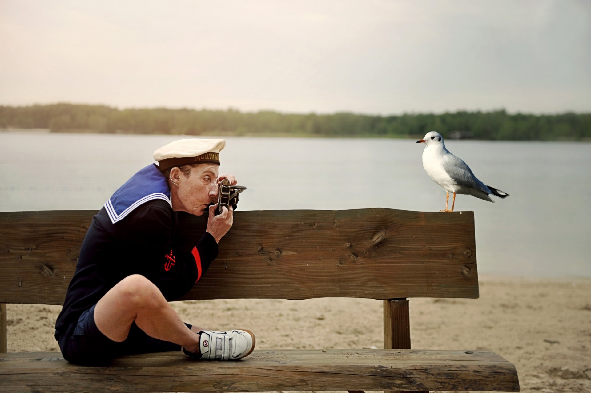 marinero gaviota foto recuerdo humor