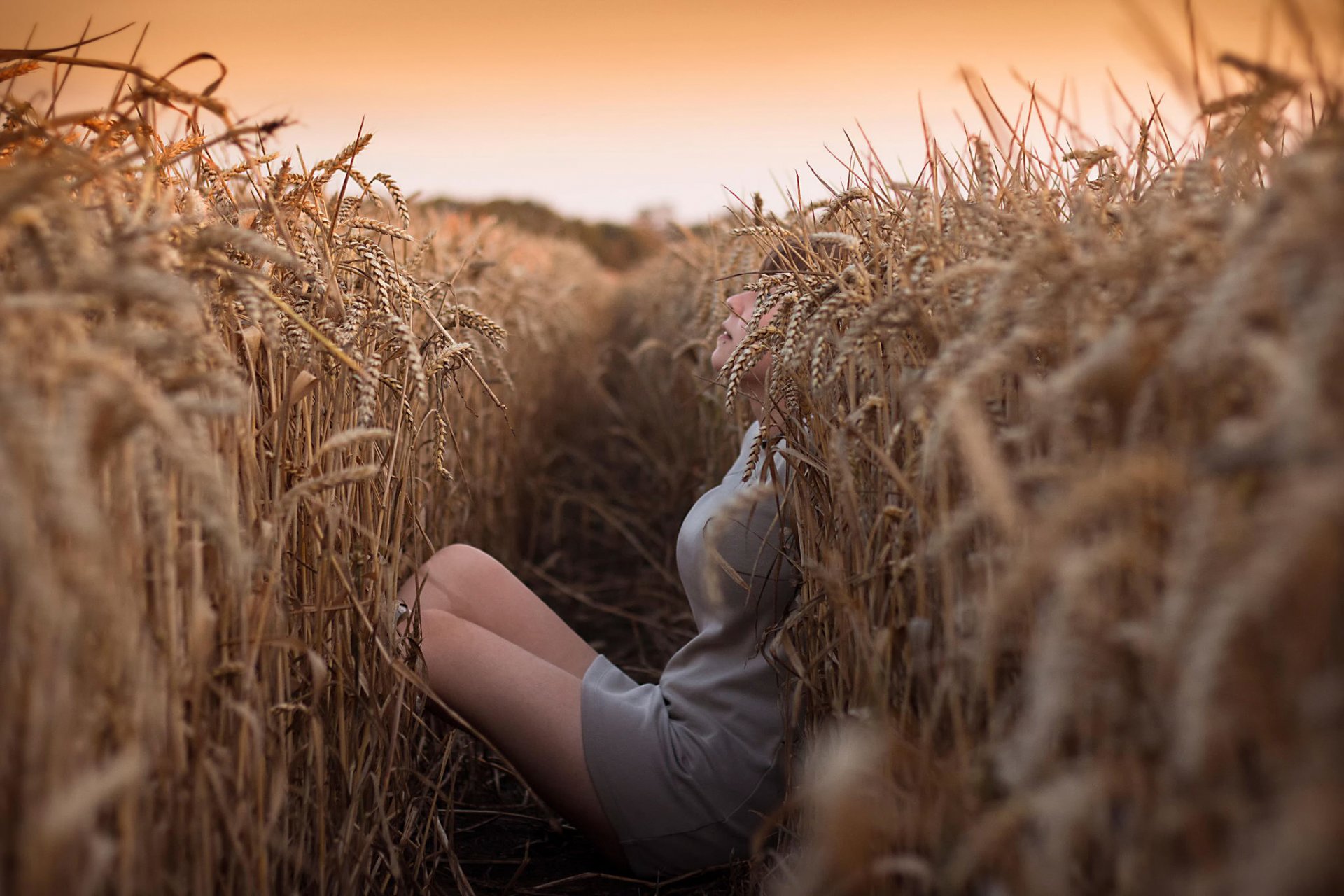 champ de blé une fille un abri