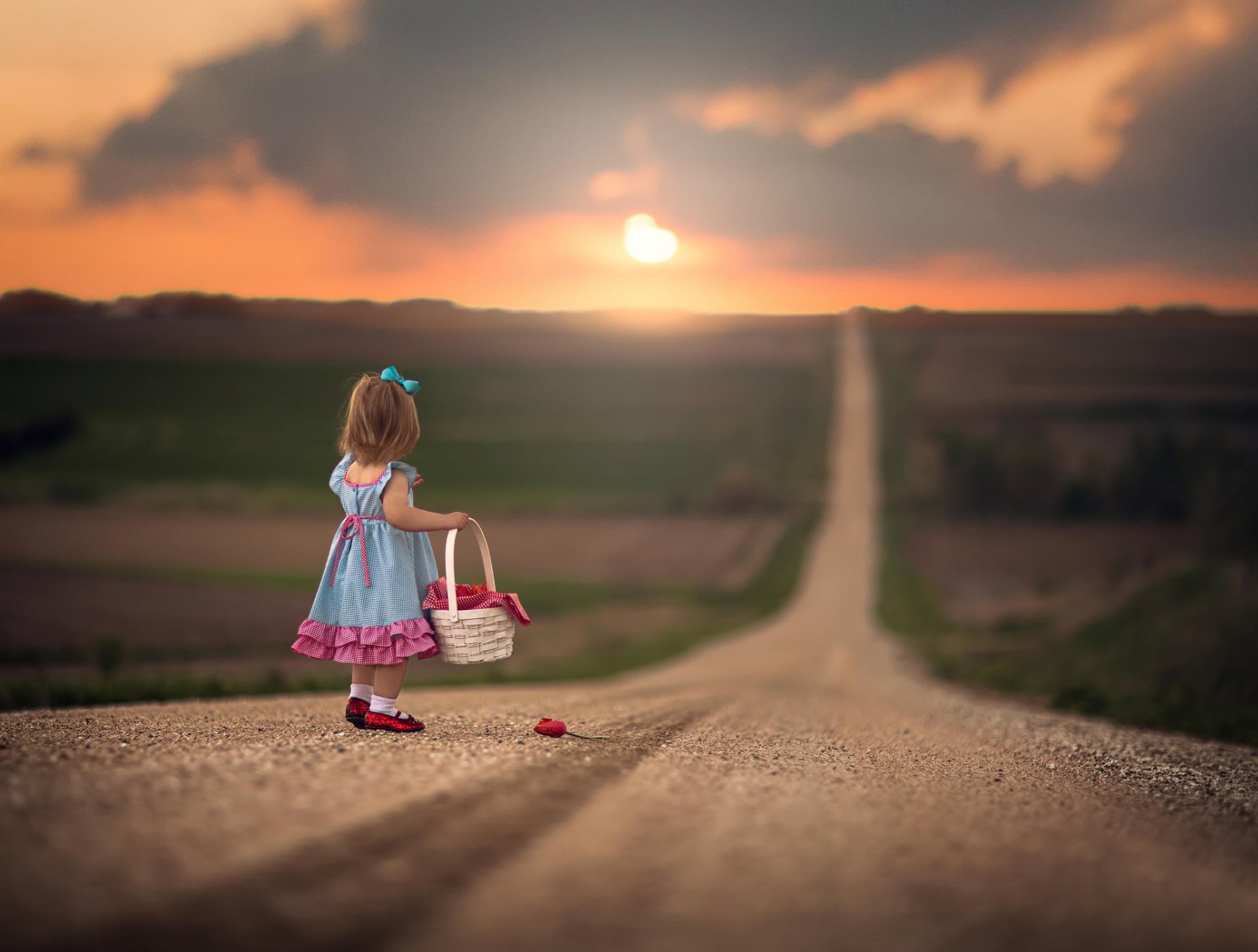 niña cesta flor camino espacio