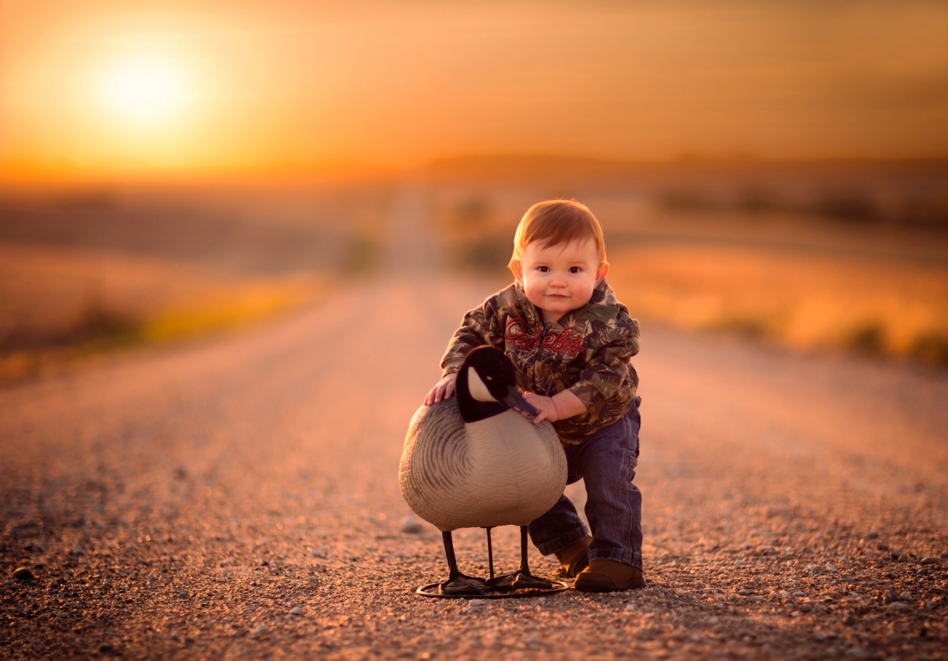 niño camino pájaro bokeh