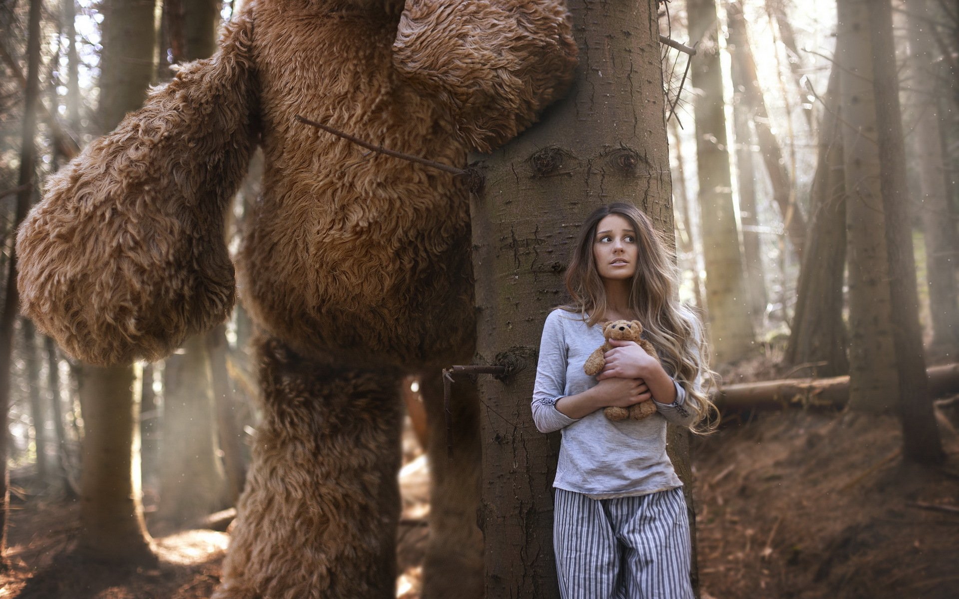 ragazza foresta orsi