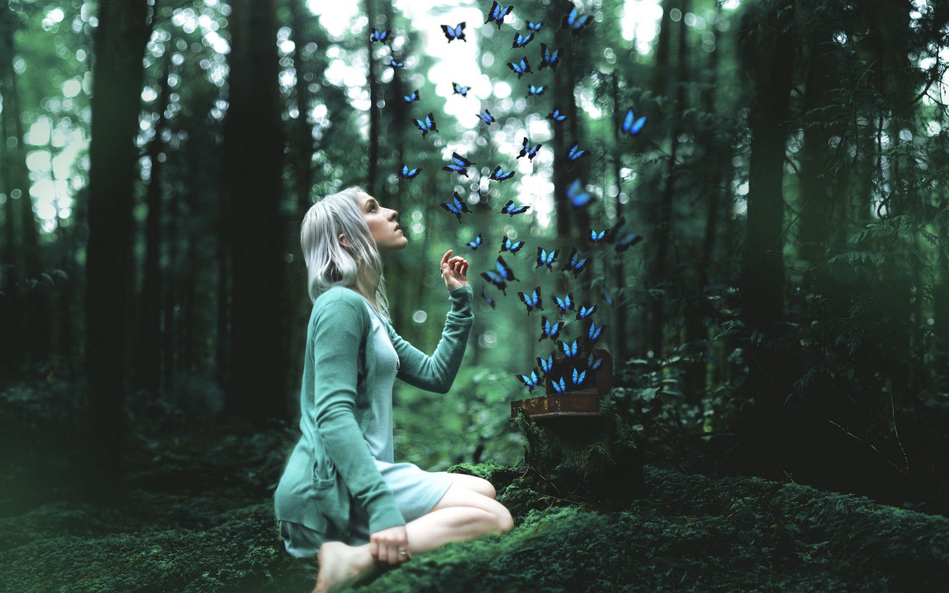 la jeune fille la forêt les papillons