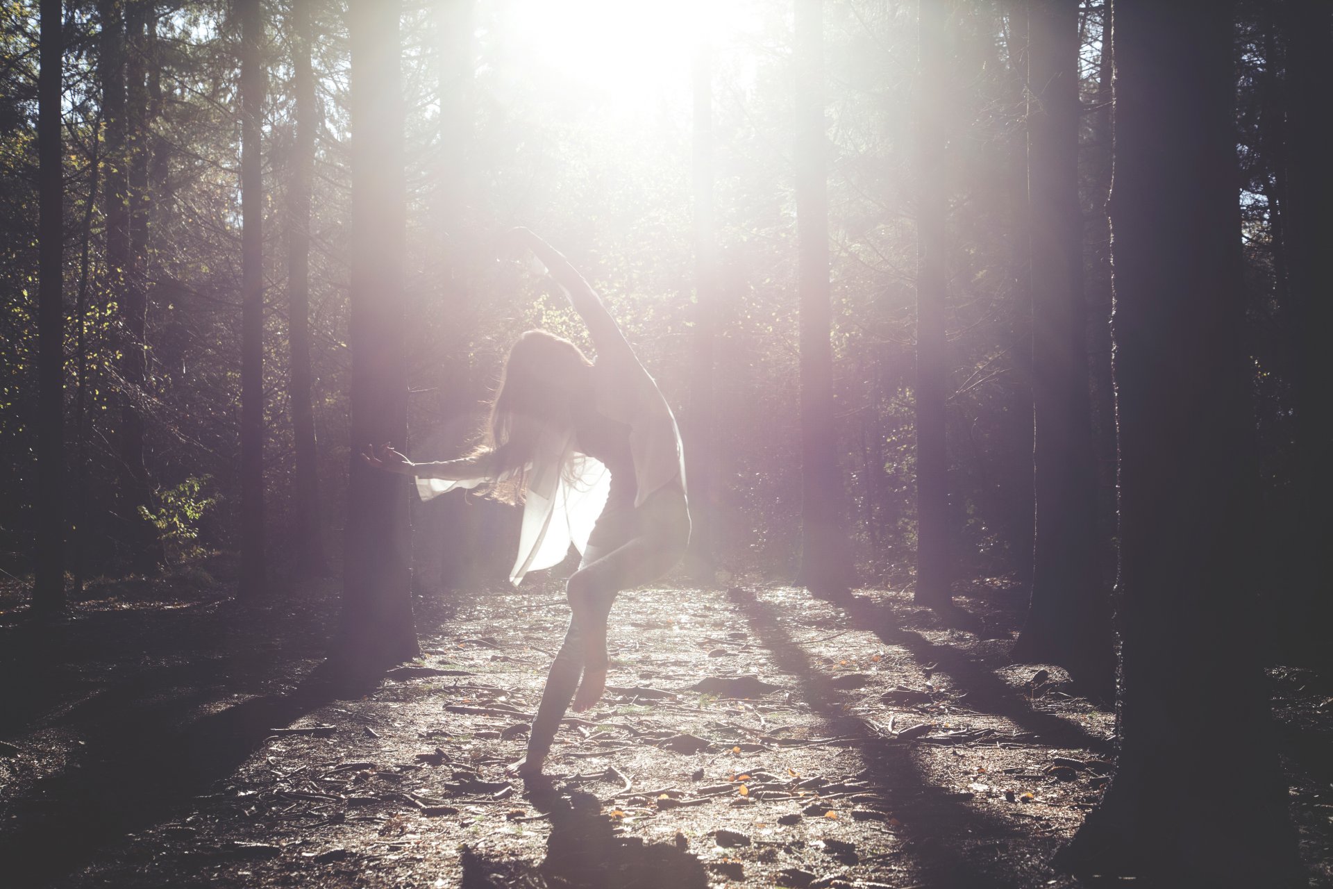 la forêt les rayons la danse la jeune fille