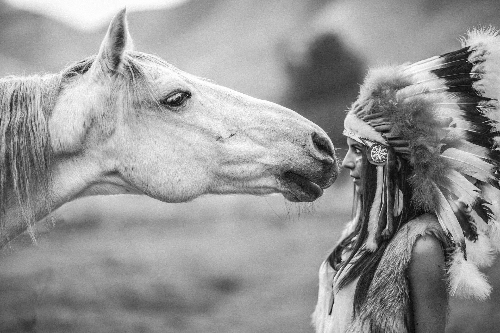 girl horse horse headdress feathers black and white