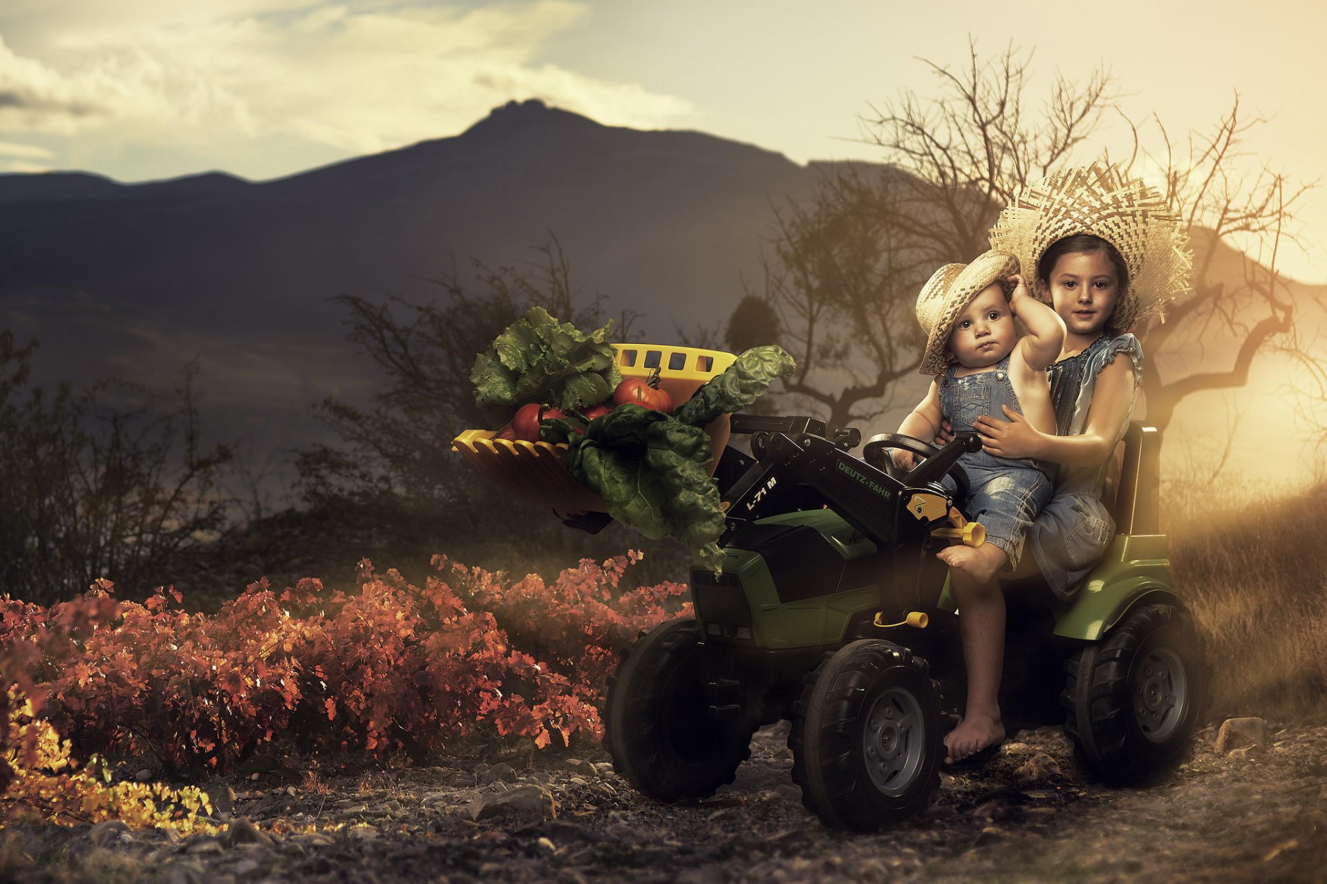 children tractor vintage vegetable