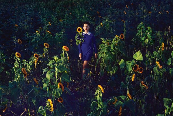 Après le bureau dans le champ de tournesols