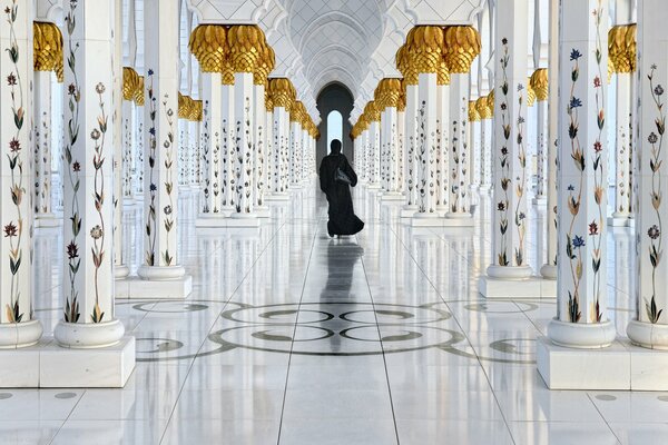 Architecture. Columns. Minimalism. A shadow