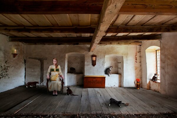 Girl s room with cats, wooden house