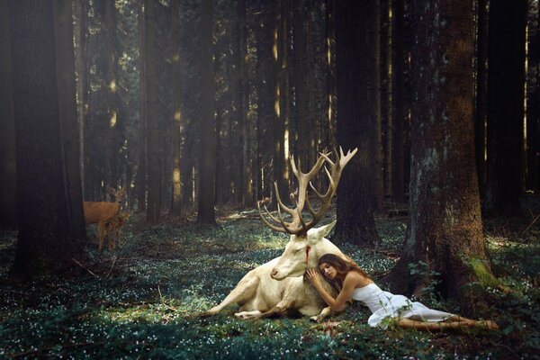 A girl in the forest at a photo shoot with a deer