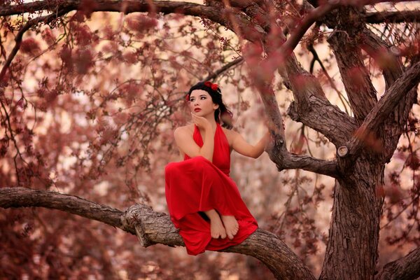 Klimatyczne zdjęcia dziewczyny na drzewie sakury