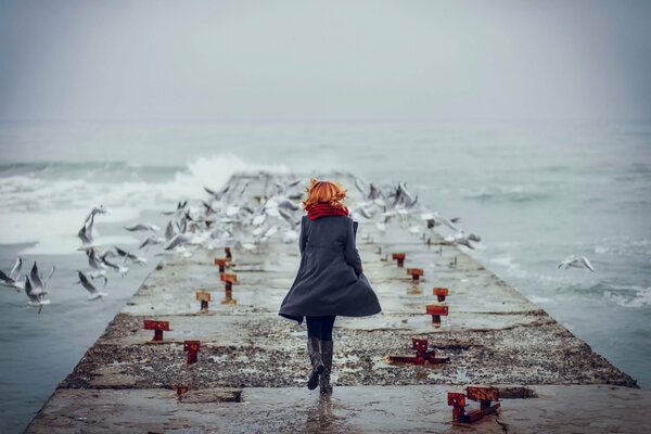 Jetée sur l océan avec paysage de mouettes