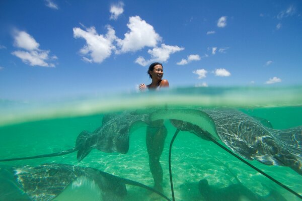 Mädchen im Meer wurde von Stachelrochen umgeben