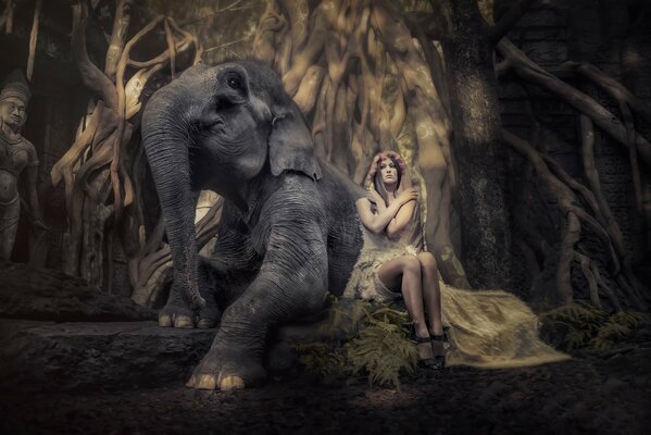Schönes Fotoshooting eines Mädchens mit einem Elefanten