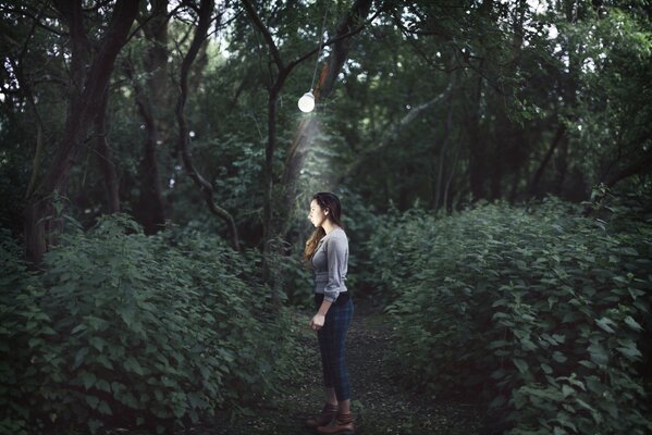 Fotos atmosféricas en el bosque sombrío