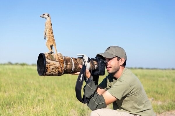 A meerkat sits on the lens of a field photographer