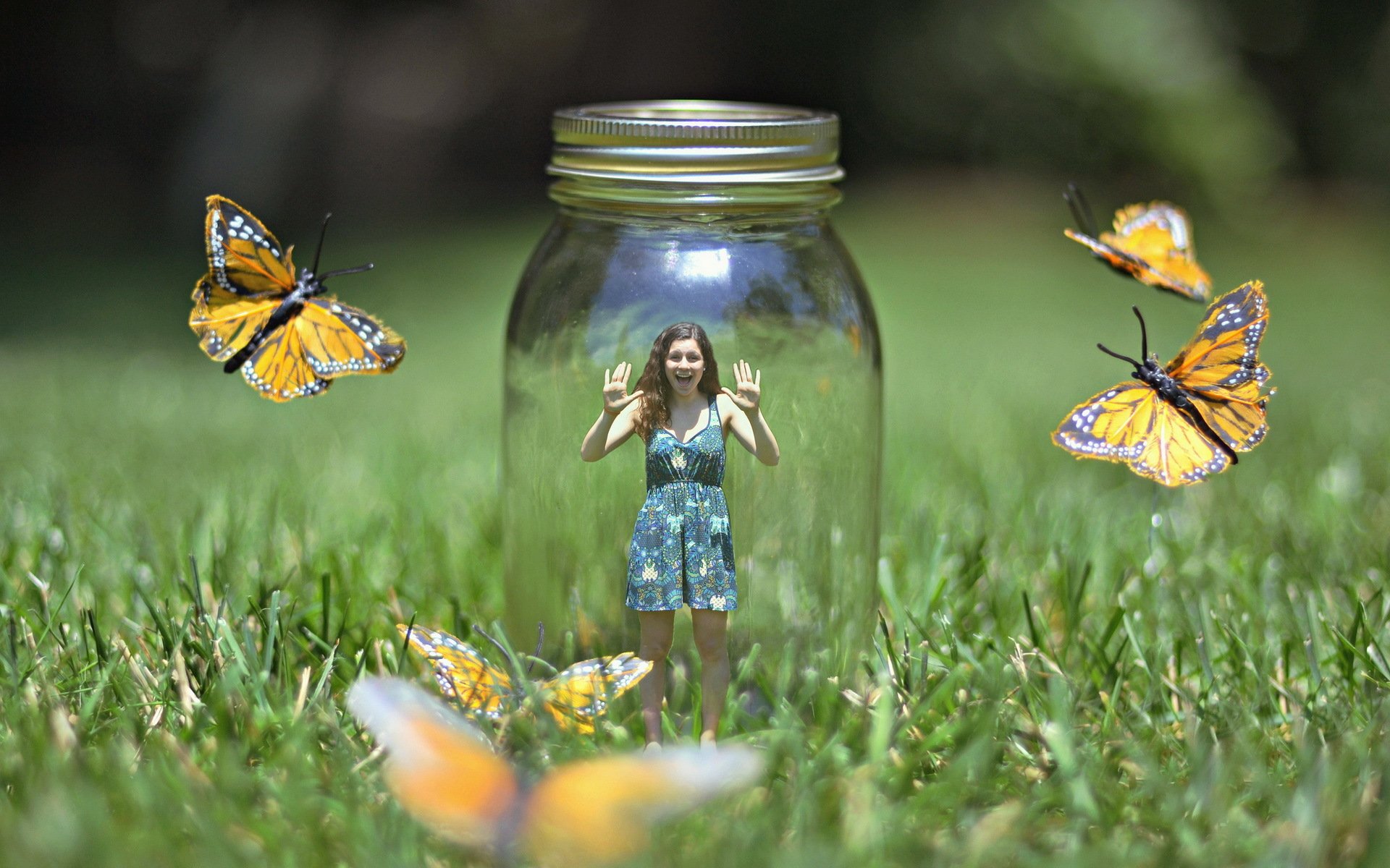 ragazza banca natura situazione farfalle