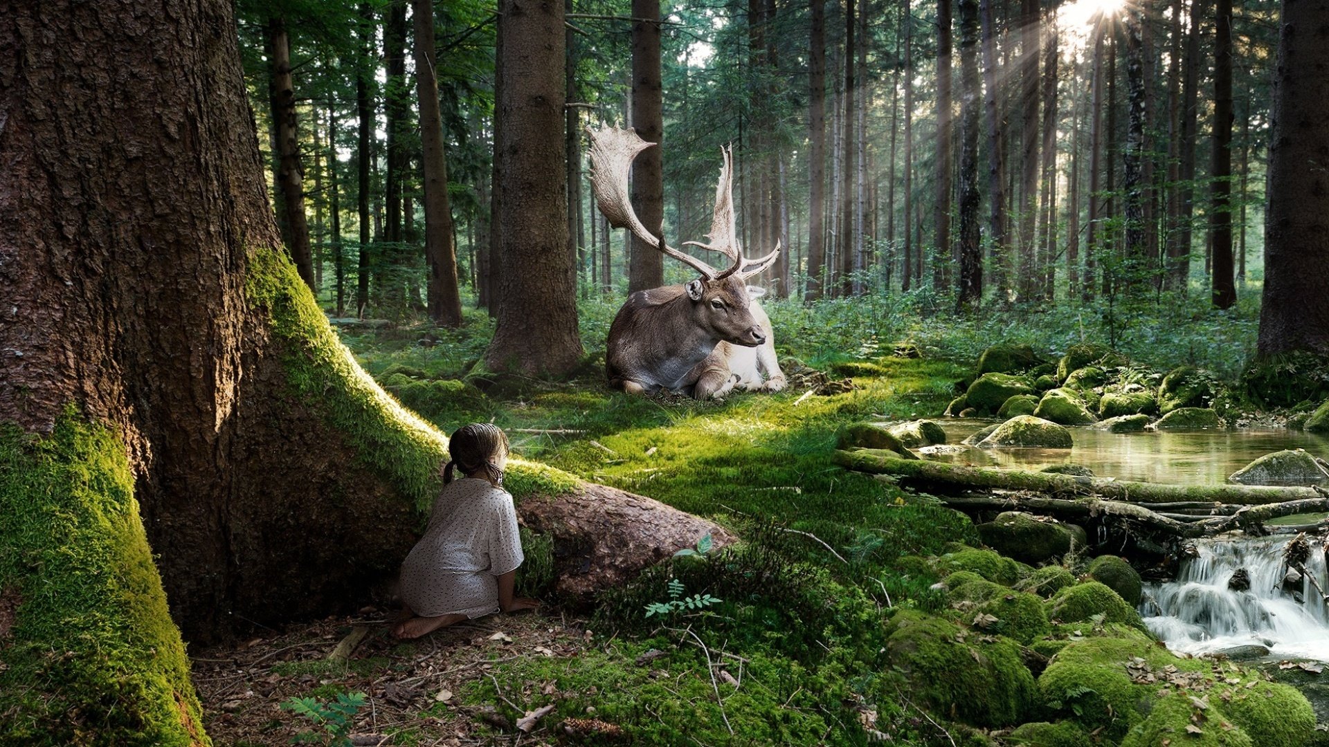 mädchen hirsch wald beobachtung strahlen bach