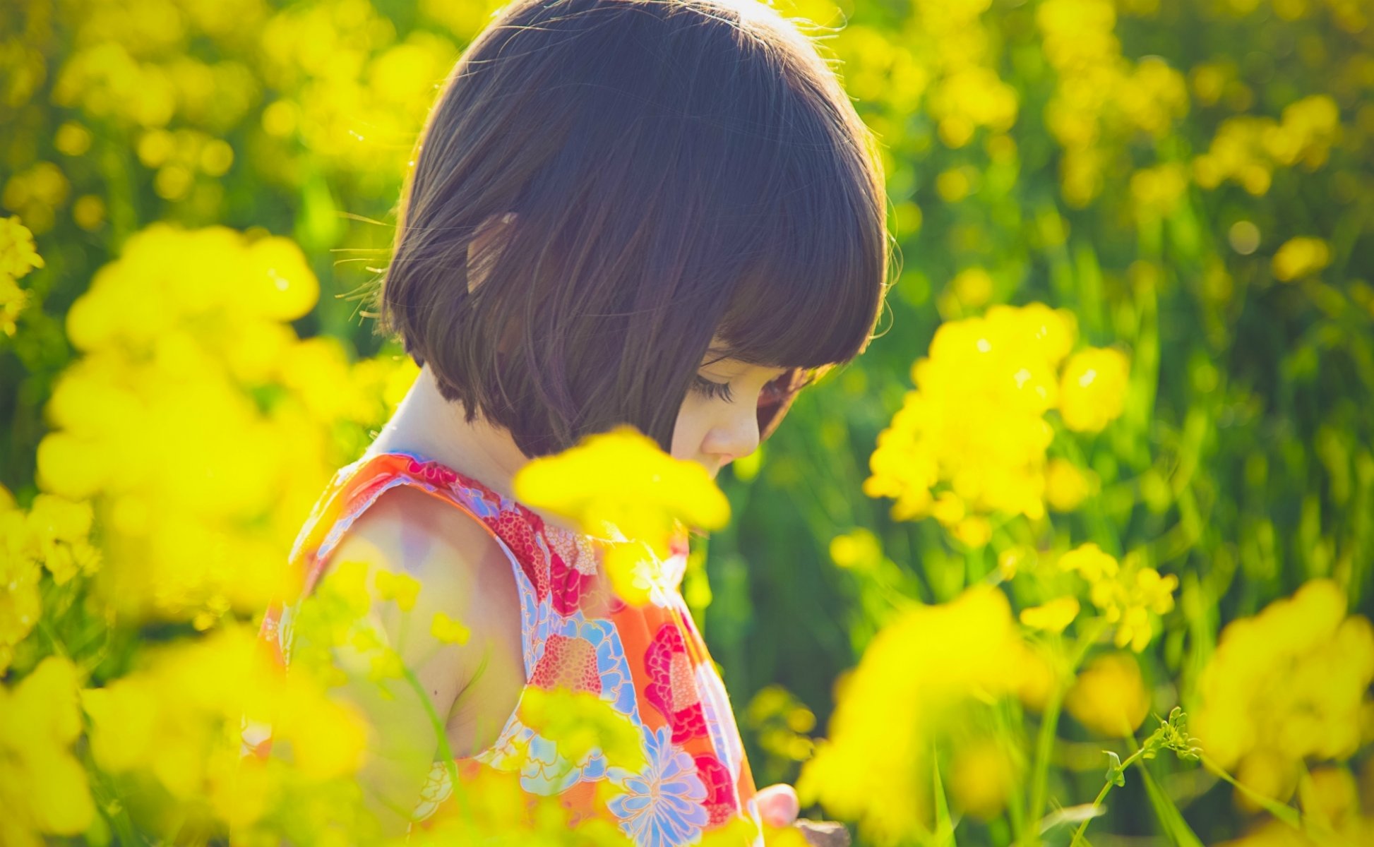 sytuacje nastroje dzieci dziewczyna brunetka sukienka kwiaty kwiaty żółty słońce natura roślina tło tapeta