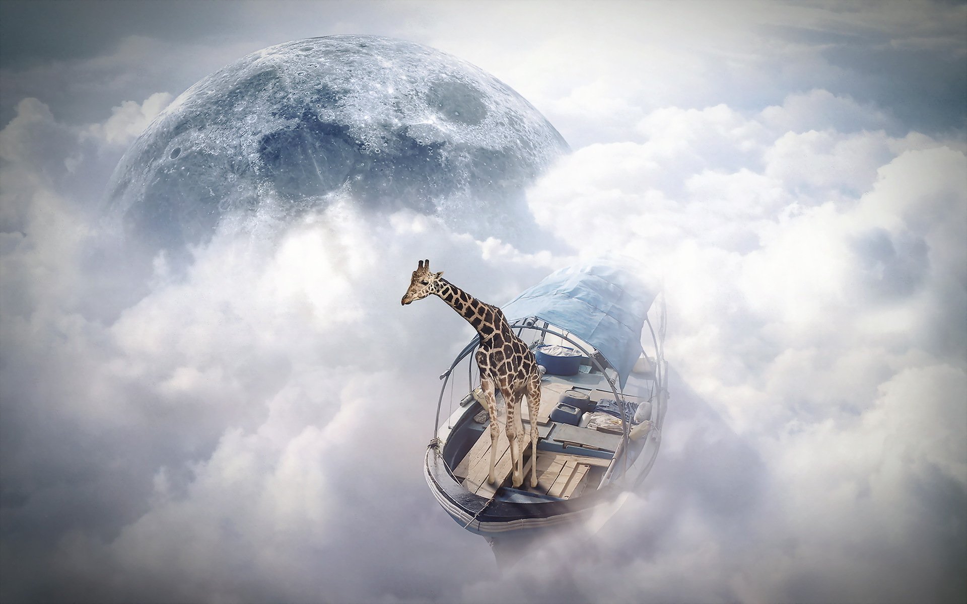 photomanipulation finearts cielo marinaio giraffa