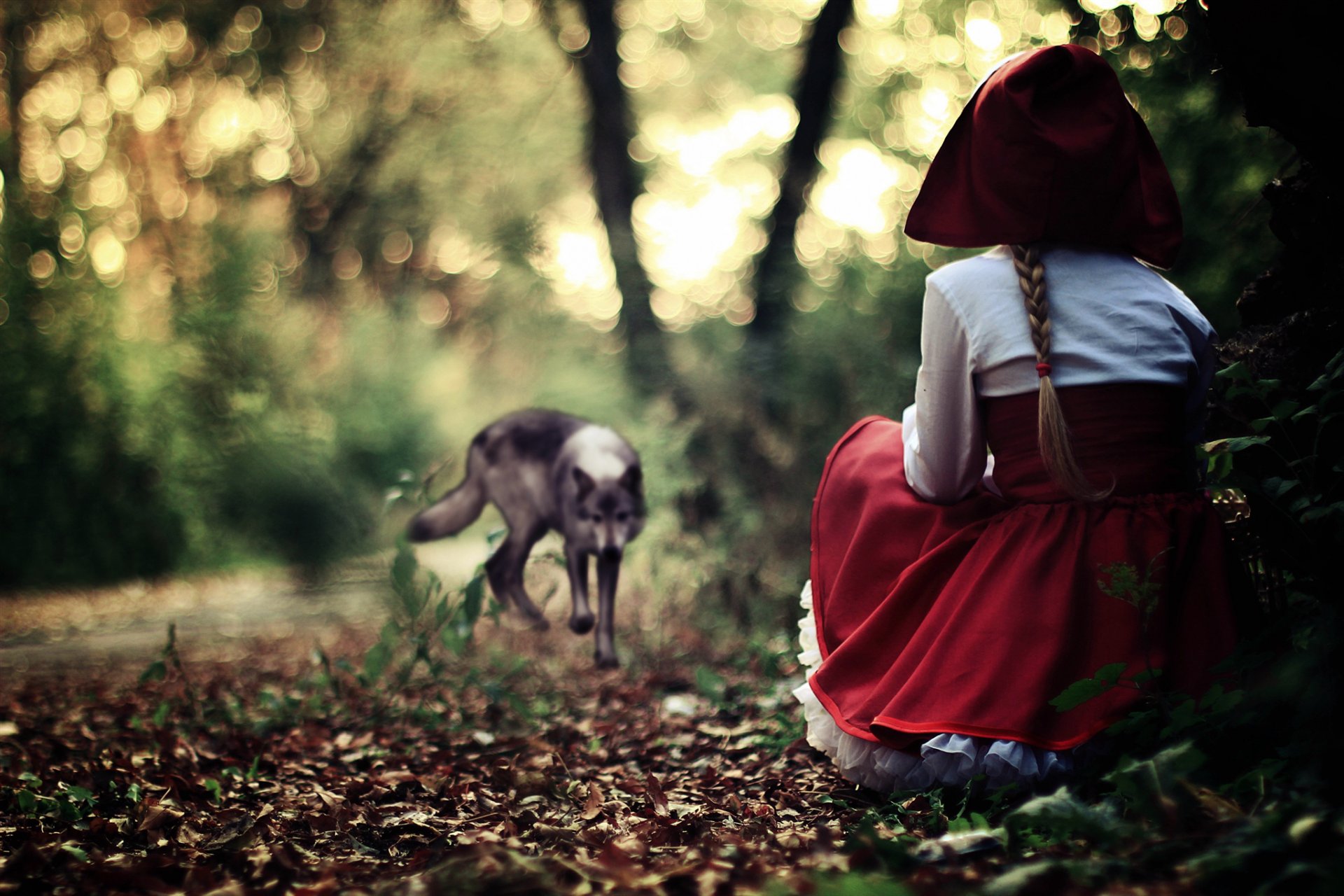 rot mütze kleid sommerkleid mädchen wald grau wolf