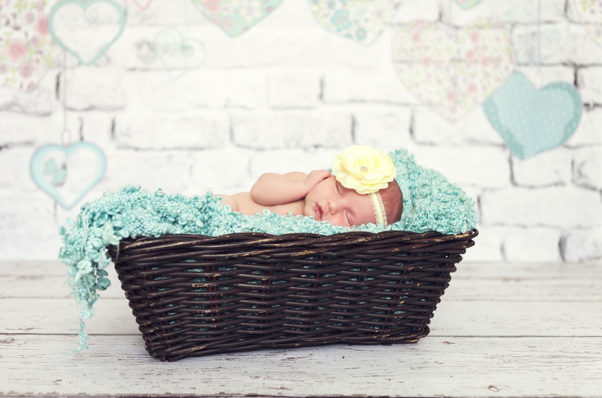 baby toddler baby girl basket sleeping flower