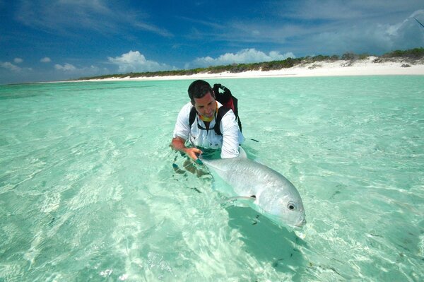 Hombre en el océano estudiando peces