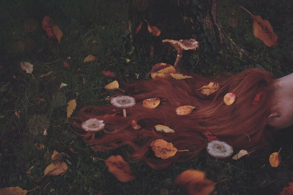 Les champignons avec des feuilles dans les cheveux