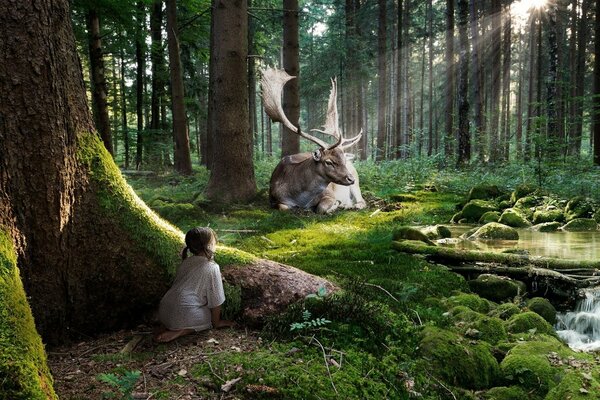 Ragazza guardando un cervo nella foresta