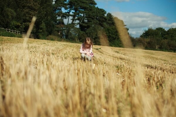 Girl sitting on the field wallpaper